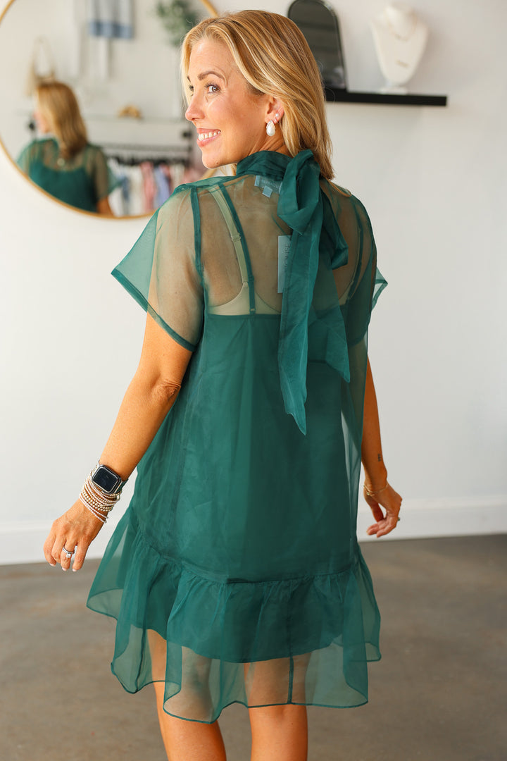 Organza Overlay Dress - Green