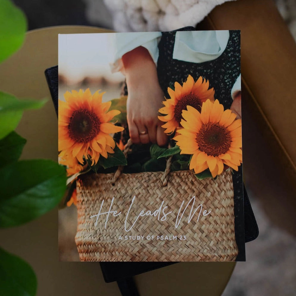 He Leads Me | Psalm 23 Devotional