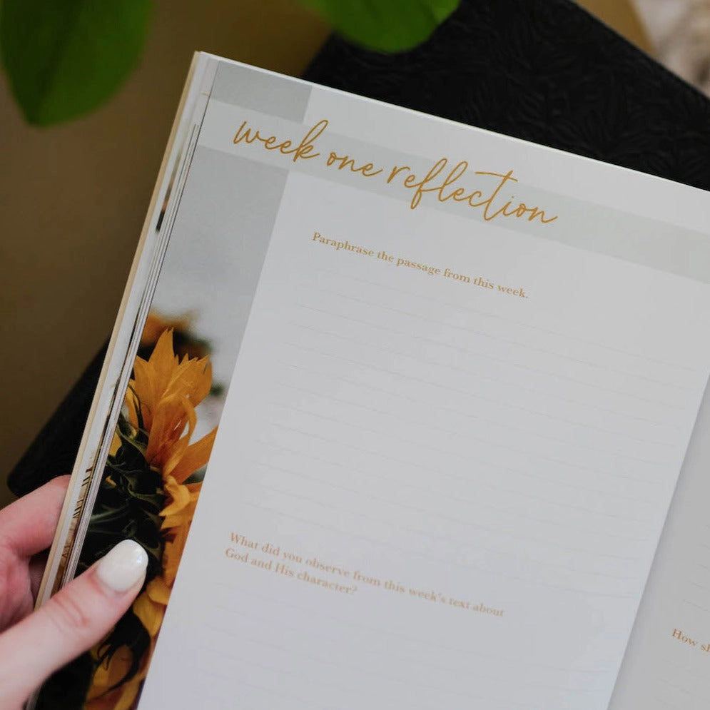 He Leads Me | Psalm 23 Devotional