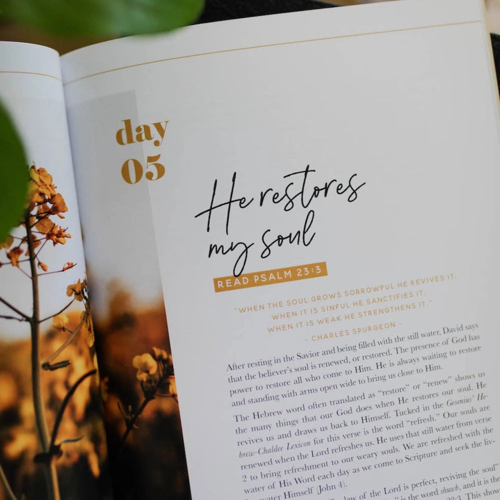 He Leads Me | Psalm 23 Devotional