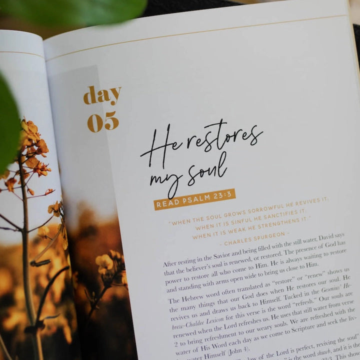 He Leads Me | Psalm 23 Devotional