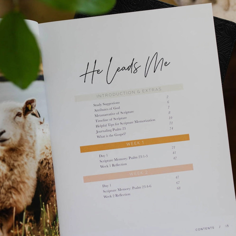 He Leads Me | Psalm 23 Devotional