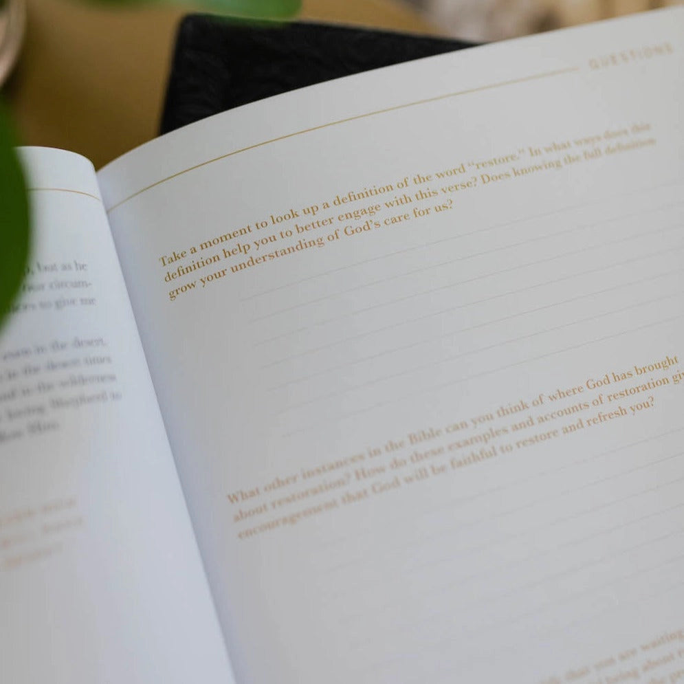 He Leads Me | Psalm 23 Devotional