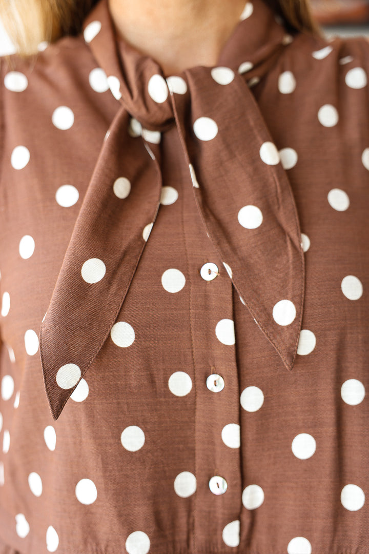 Button Front Polka Dot Blouse - Brown