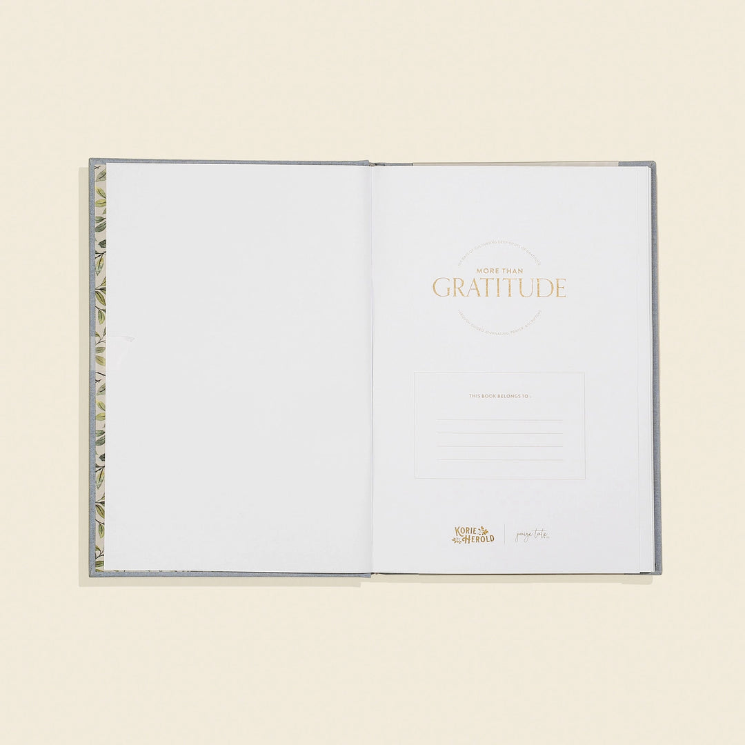 More Than Gratitude: A Christian Guided Journal