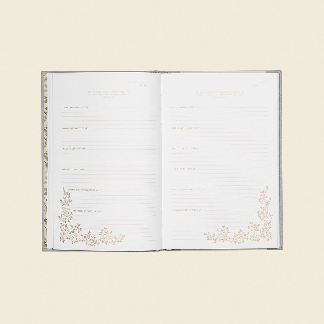 More Than Gratitude: A Christian Guided Journal