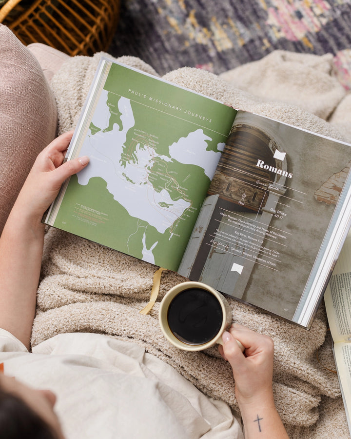 The Bible Handbook: A Book-By-Book Guide To the Entire Bible