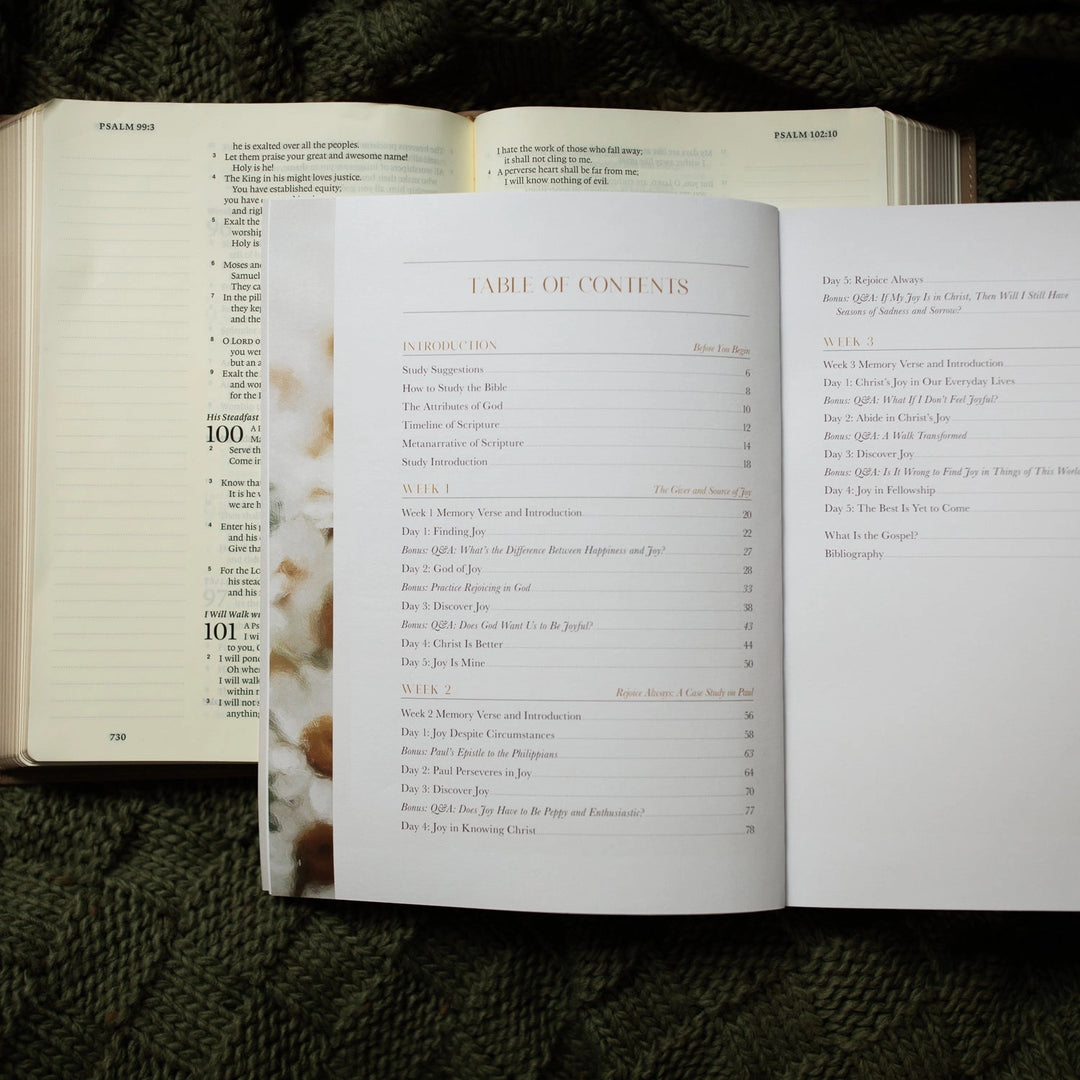 A Joy That Endures Devotional | How Jesus Is the Source of Unshakable Joy