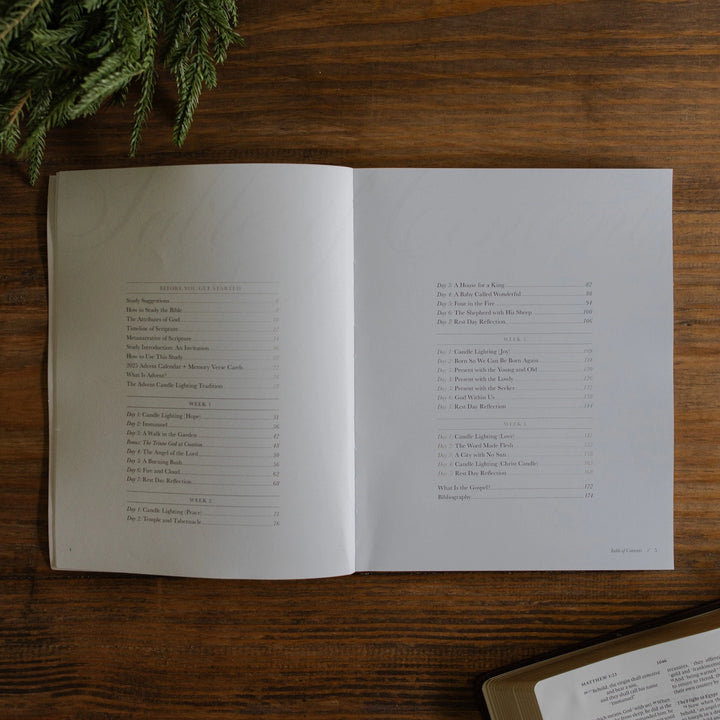 Awakening Wonder Devotional | 2025 Advent Study