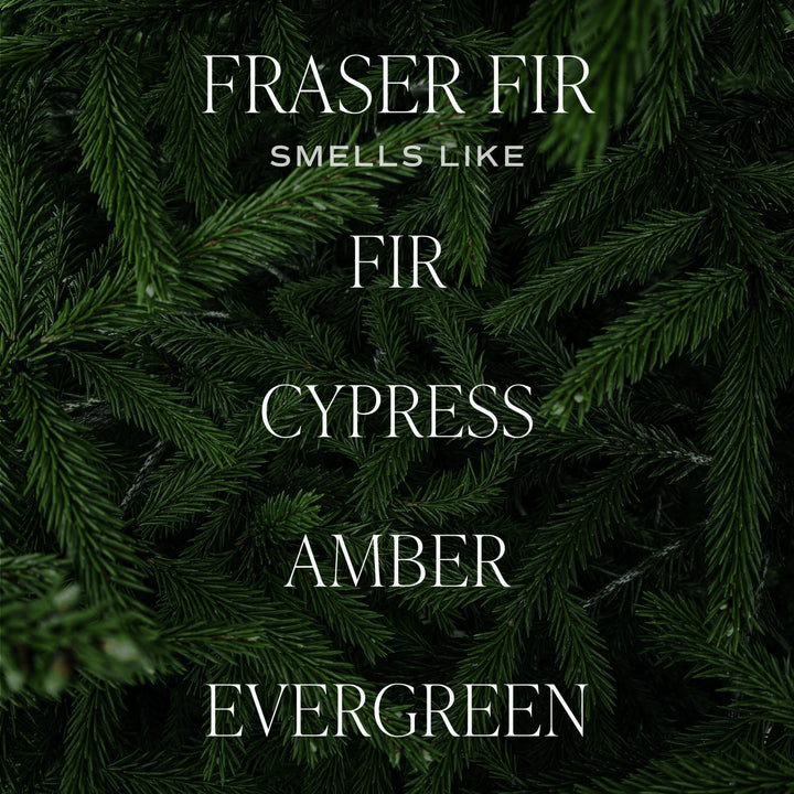 Fraser Fir 12 oz Candle