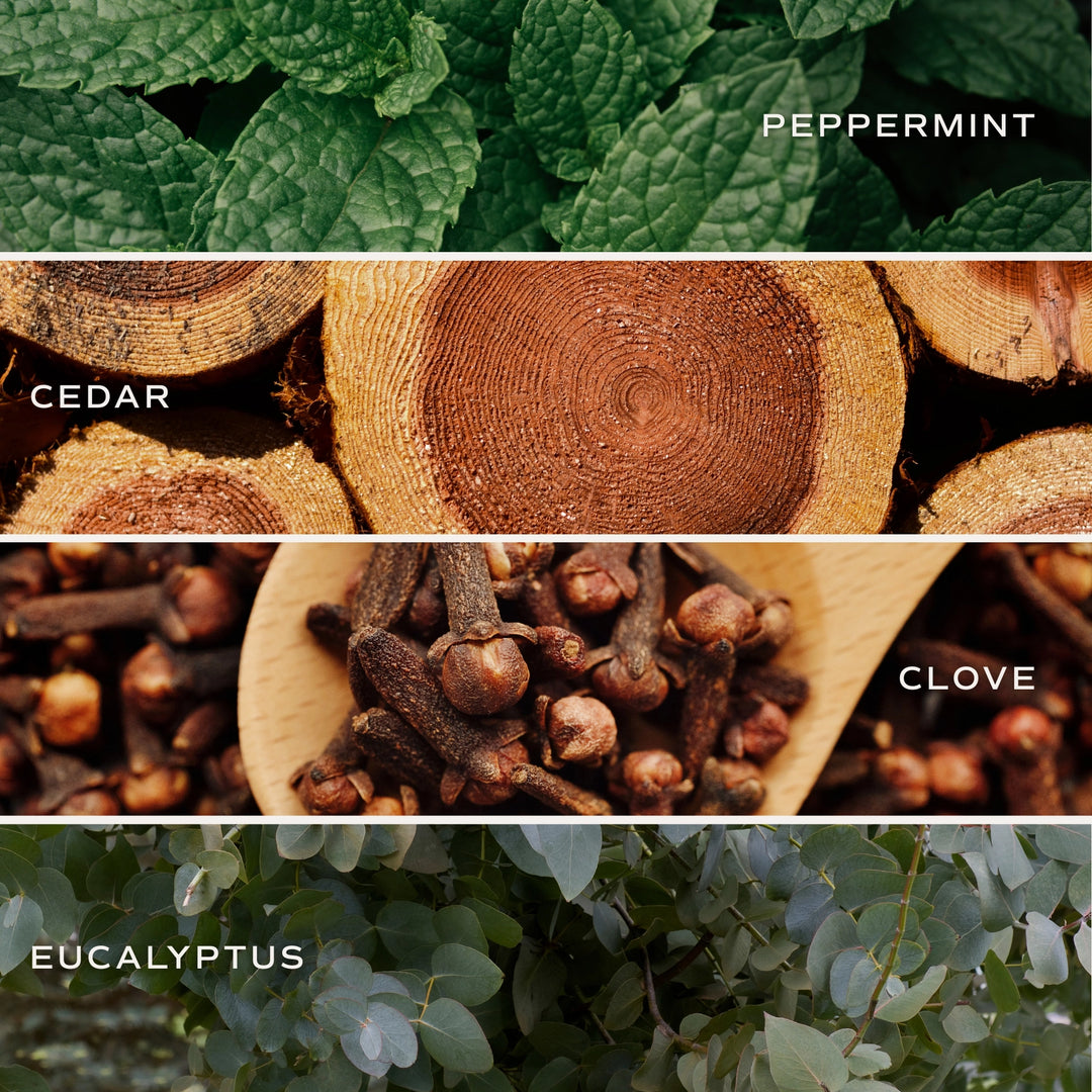 Relaxation Reed Diffuser