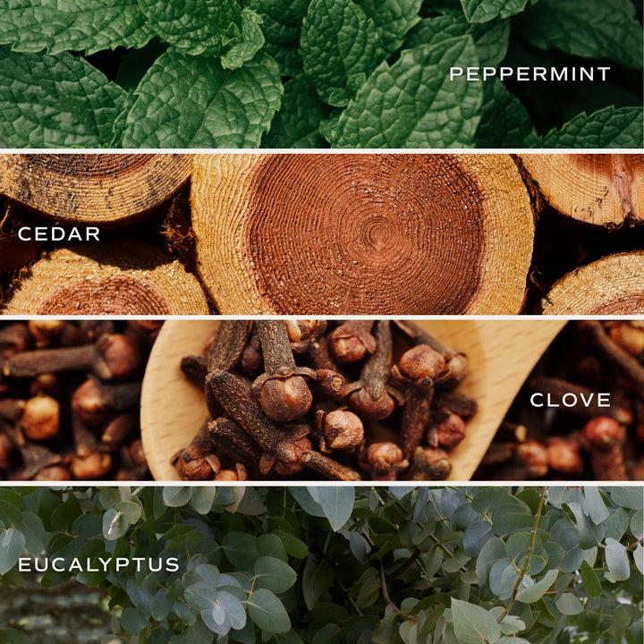 Relaxation Reed Diffuser