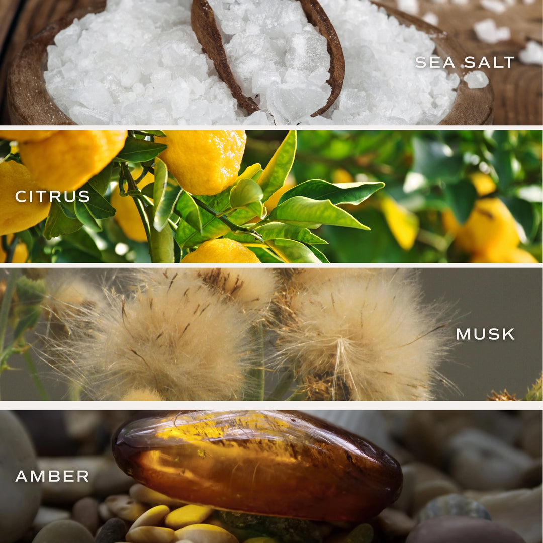 Spa Day Reed Diffuser