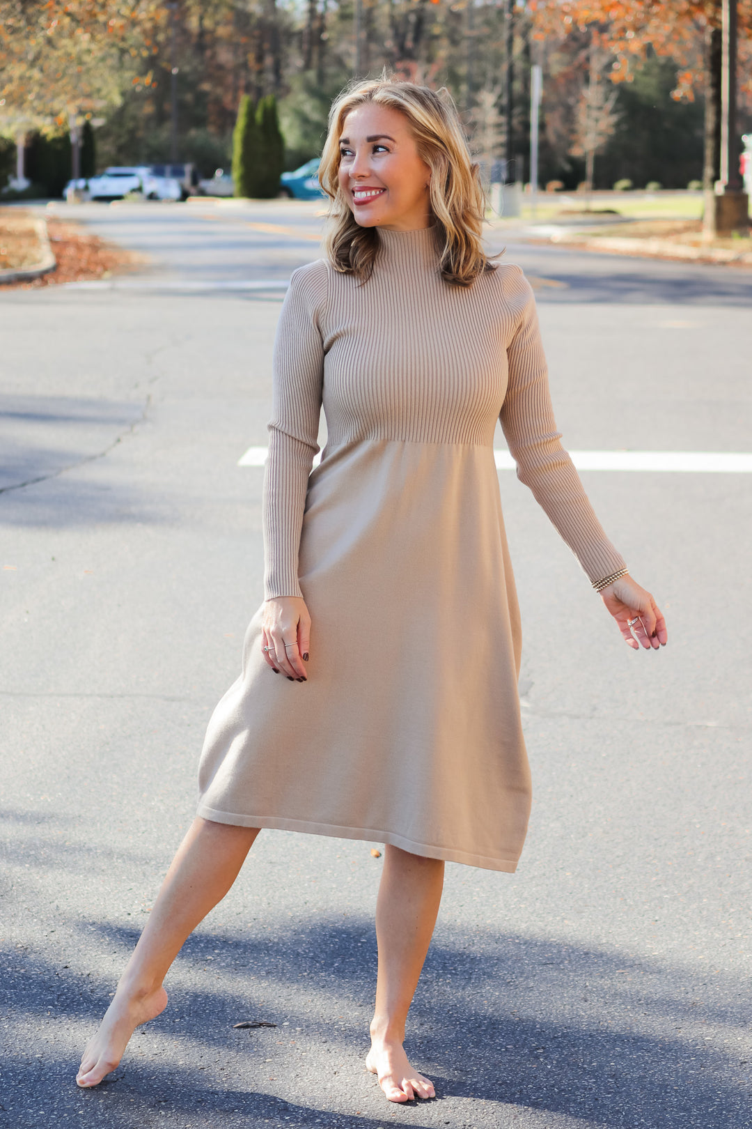 Fit & Flare Sweater Dress - Taupe