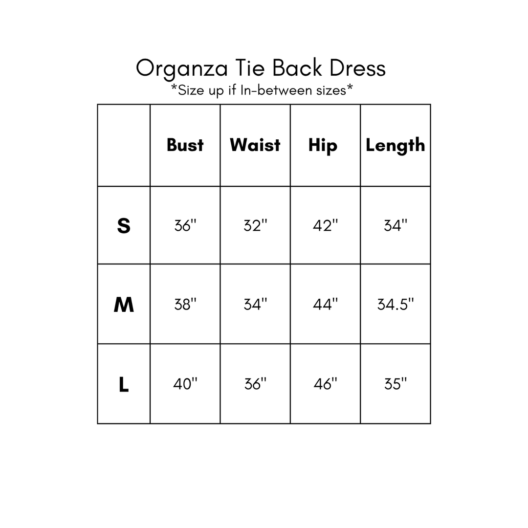 Organza Tie Back Dress - Brown *PREORDER*