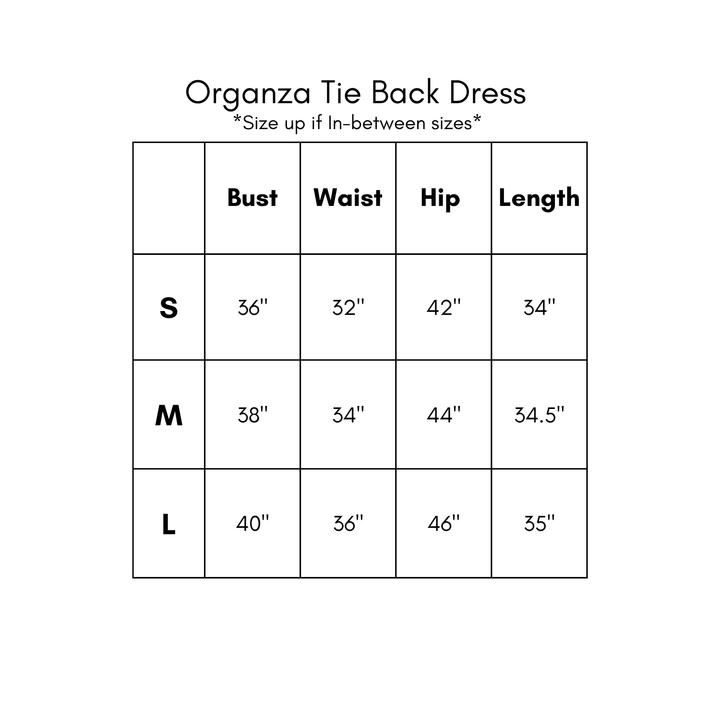 Organza Tie Back Dress - Brown *PREORDER*