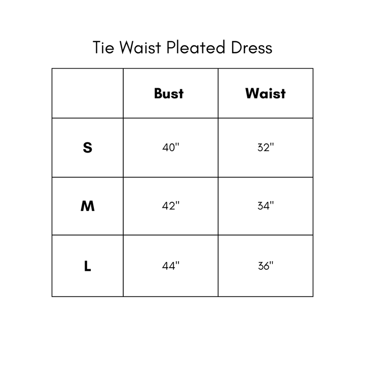 Tie Waist Pleated Dress - Black