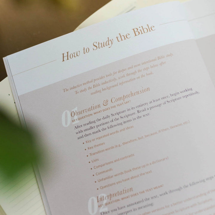 Delight Devotional | Psalms 1-30